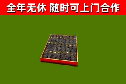 防城港市回收海参